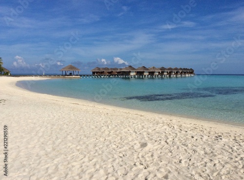 Maafushivaru beach  Maldives  Indian ocean