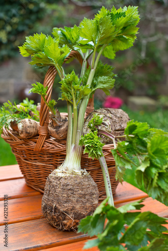 Celery and wicker basket with root vegetable.