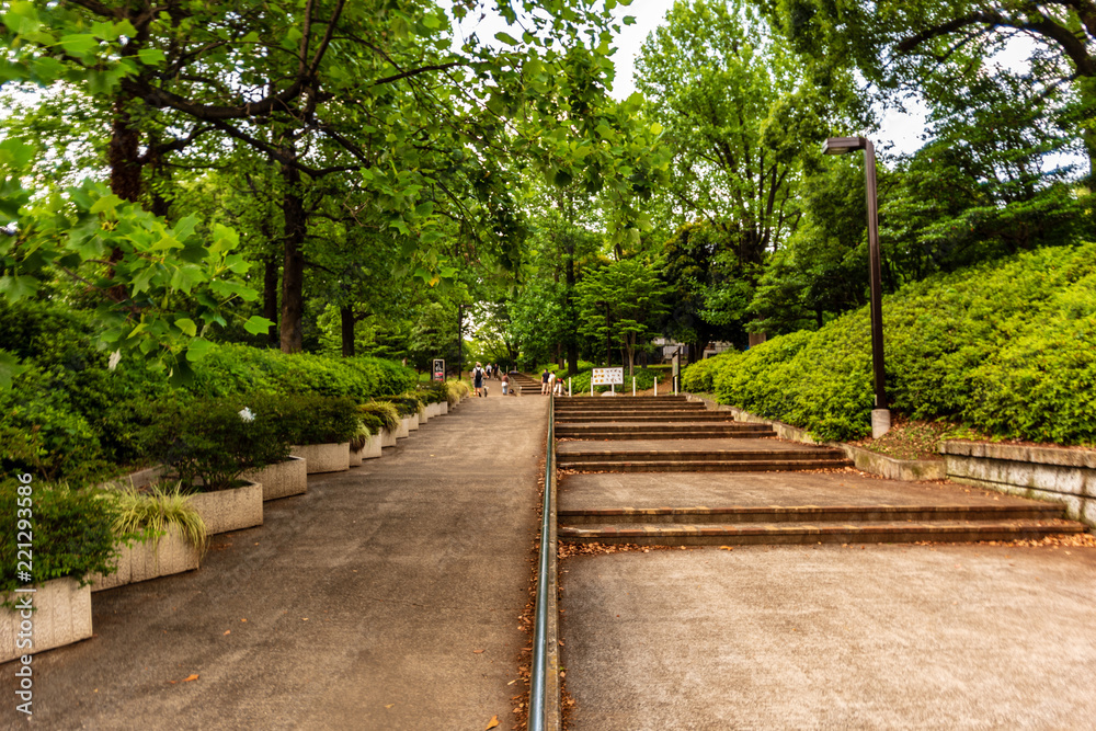 代々木公園 代々木公園