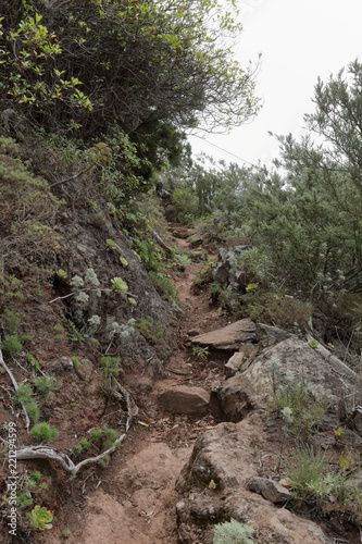 The Path of the Senses in the Anaga rural park in Tenerife island in the Canaries