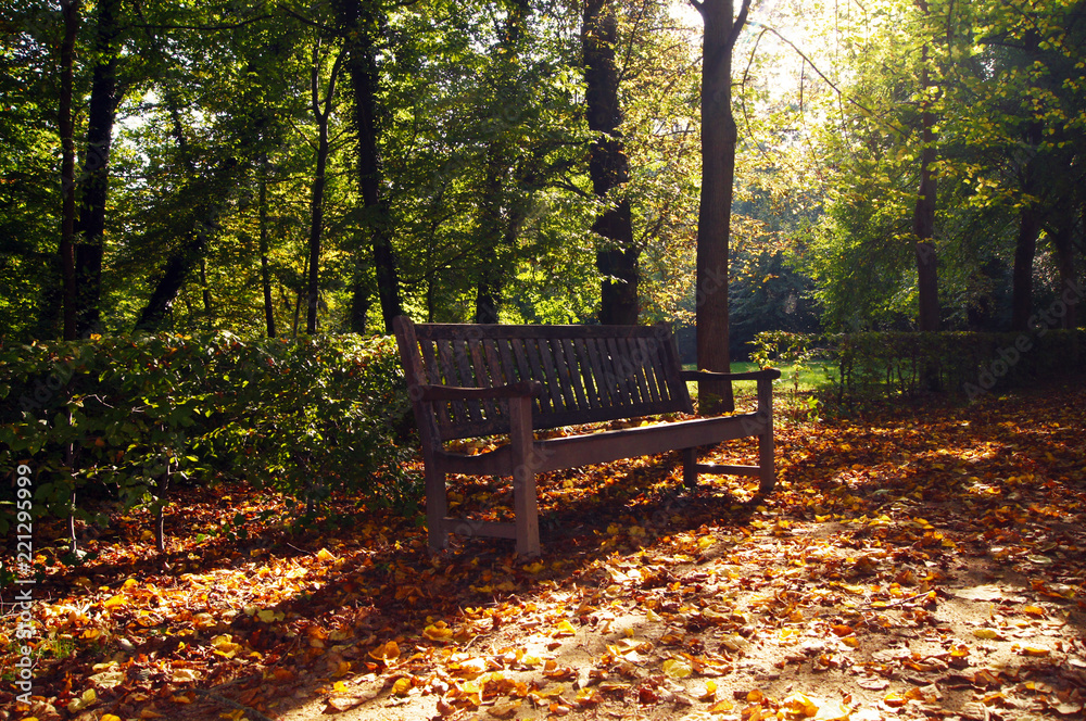 Herbst Stimmung im Park