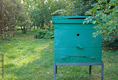 Green beehive mounted on a honey apiary.
