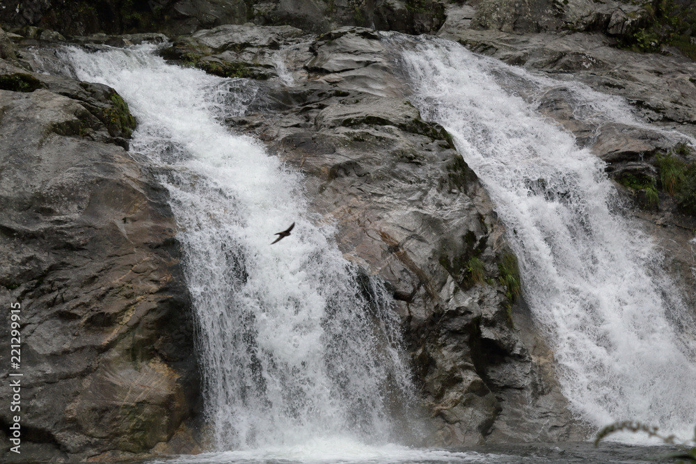 The Loana torrent waterfall on rocks surrounded by pines, firs and other green trees in Malesco, Vigezzo Valley, Italy The Loana torrent waterfall on rocks surrounded by pines, firs and other green trees in Malesco, Vigezzo Valley, Italy