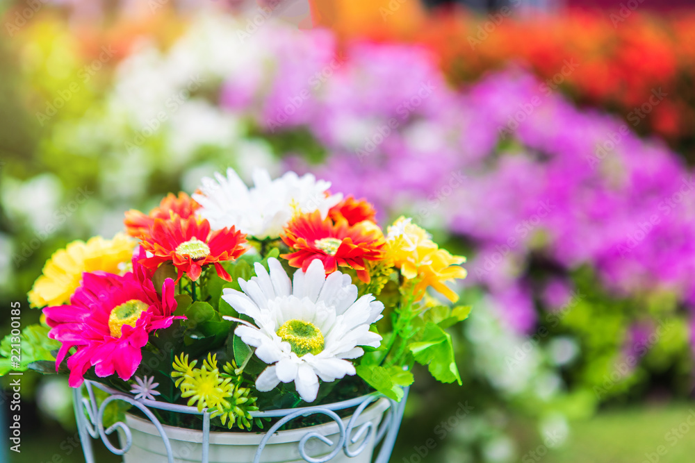 Beautiful flowers in the white pots for decoration garden. Beautiful flowers in the white pots for decoration garden.