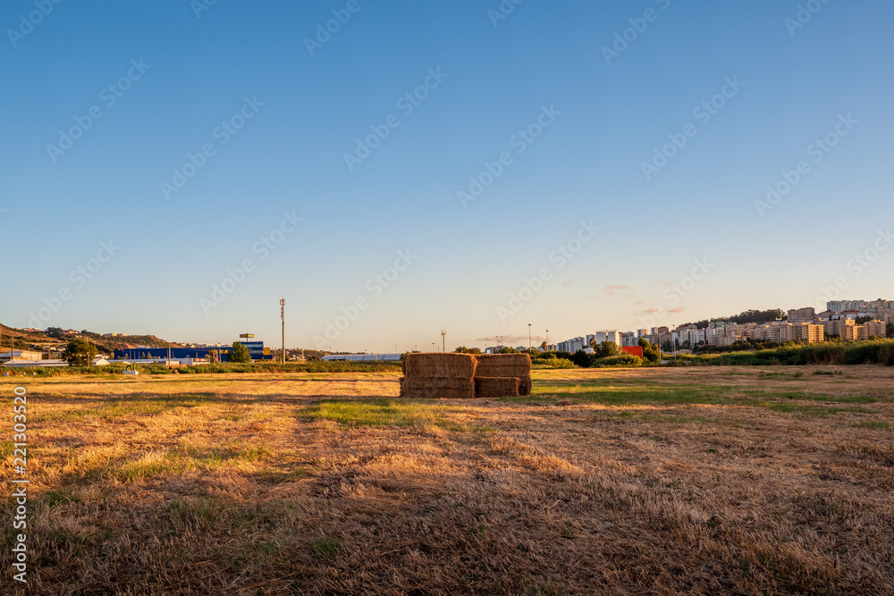 Hay on a field during a sunset