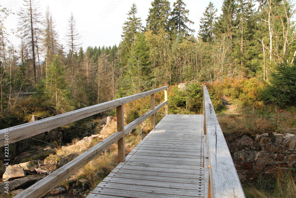 Fototapeta premium alte Holzbrücke