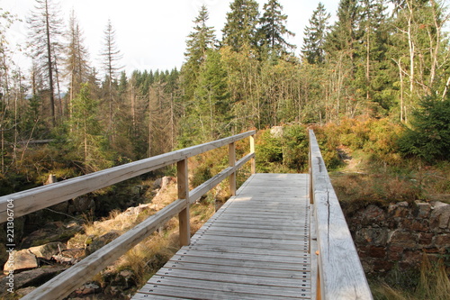 alte Holzbrücke