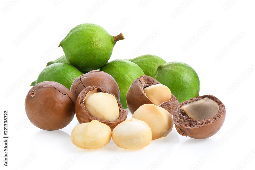 macadamia nuts isolated on white background. macadamia nuts isolated on white background.