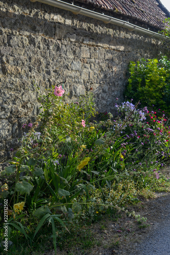Fleurs bretonnes photo