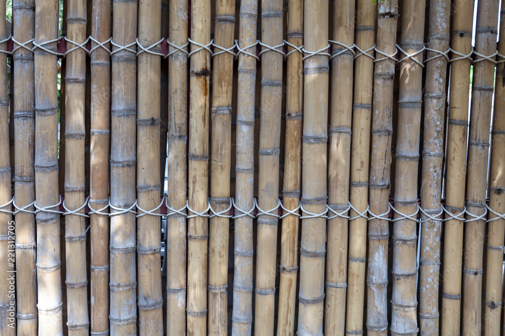 The Bamboo lattice The Bamboo lattice