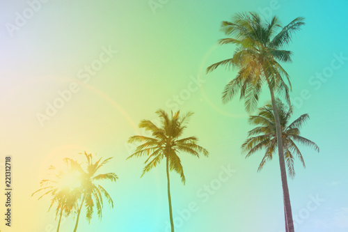Coconut palm trees. Vintage toned © tiena