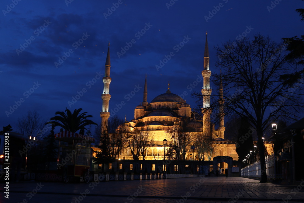 Turkey istanbul city view