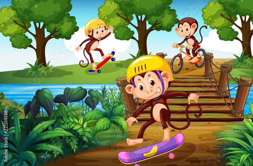 Monkey and extreme sport in the park