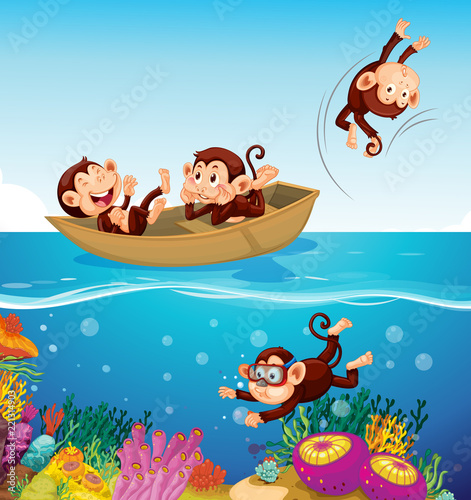Happy monkey at the sea