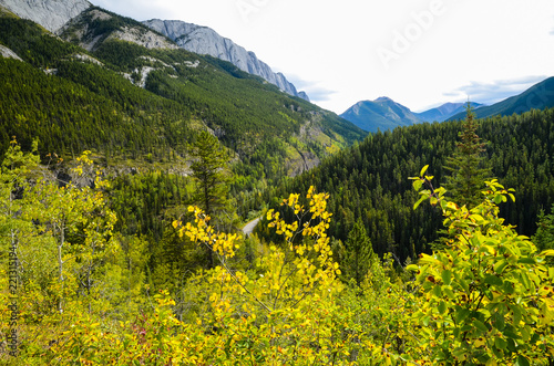 秋のカナディアンロッキー ジャスパーの黄葉と山並み（カナダ・アルバータ州）