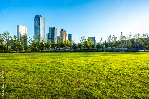 green lawn with city skyline in hangzhou china