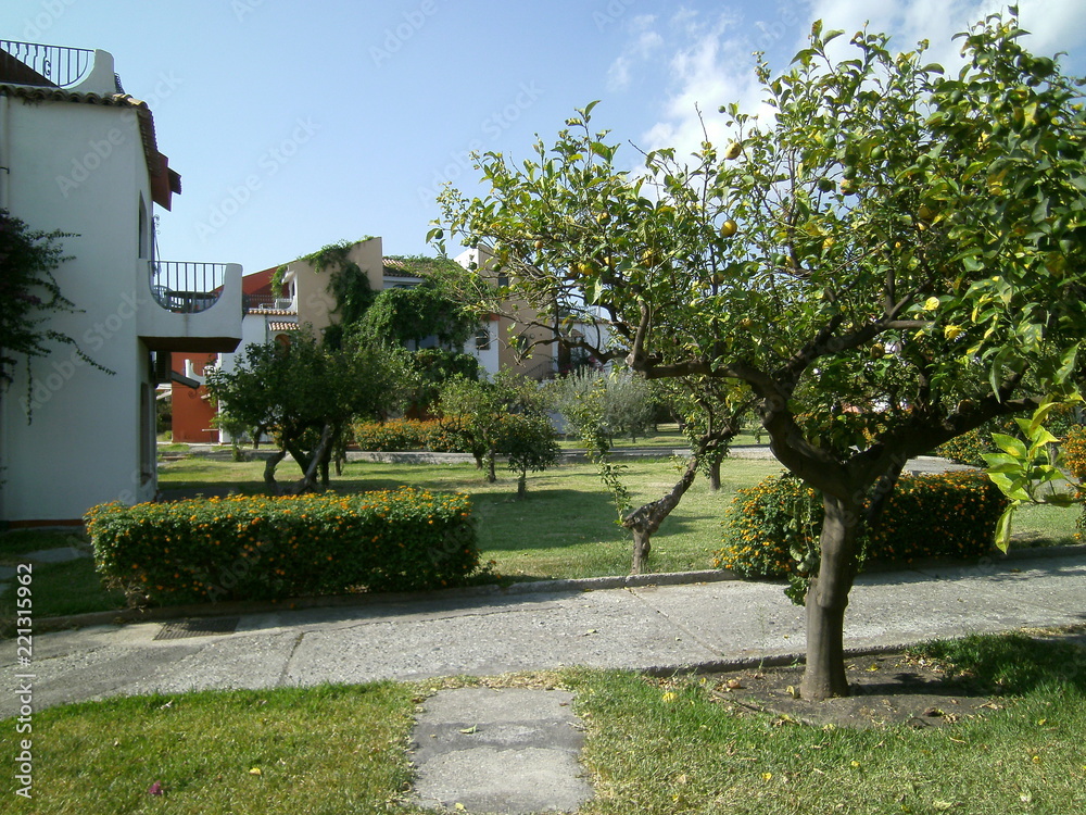 Naklejka premium landscape