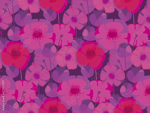 Pink and violet poppy flower meadow