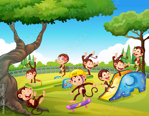 Monkey playing at playground