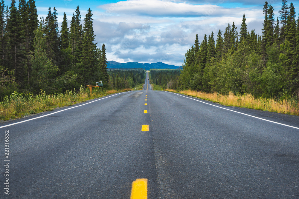Fototapeta premium road in the forest - View of the Richardson Highway in Alaska, with frost heaves and hilly highway roads. Boreal forest on sides of road, extra copy space