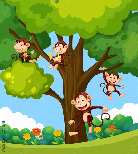 Fototapeta Naklejka Na Ścianę i Meble -  Monkey playing at the tree