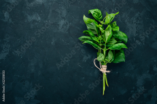 Fotobehang Fresh green basil