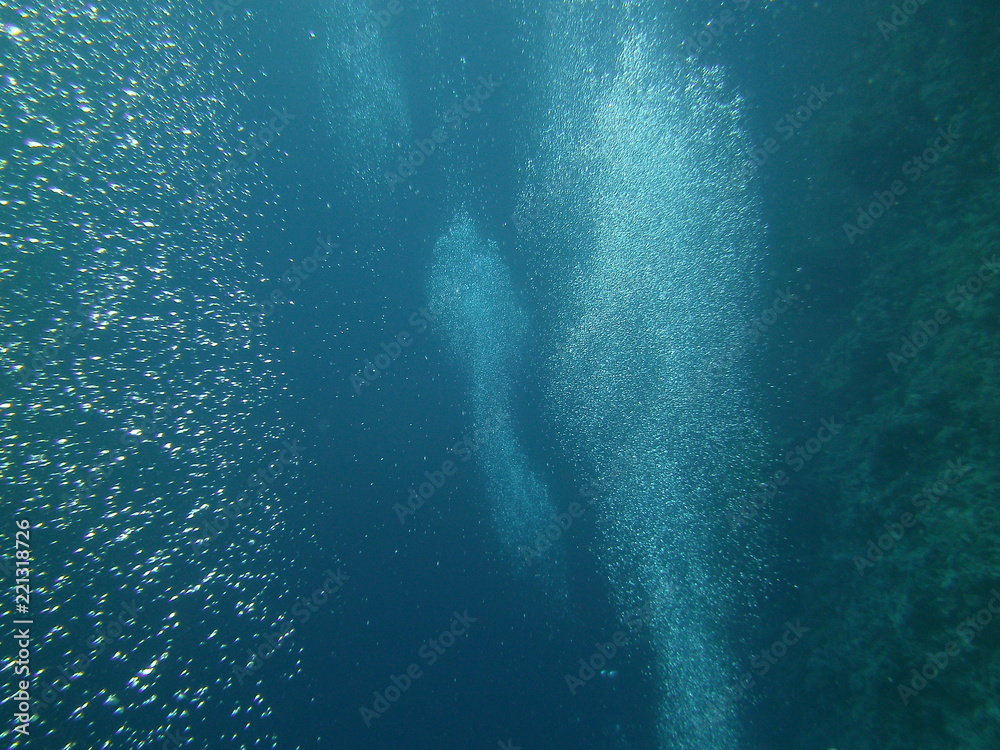 Fototapeta premium underwater
