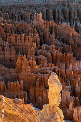 Bryce Canyon National Park hoodoos in the amphitheater hoodoos during sunrise