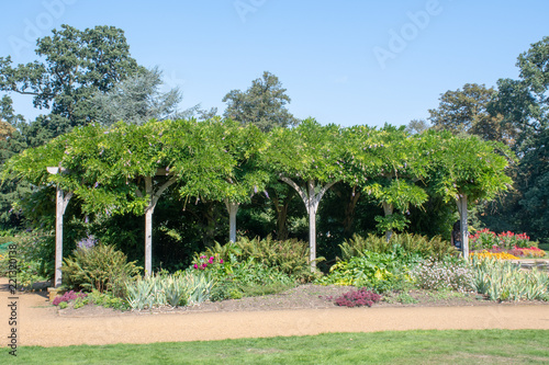 Photo Large garden Arbour covered in plants