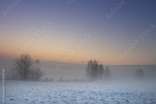 Obraz na płótnie Winter nature landscape. Christmas background. December nature at dawn. Trees and plants in fog. Ground covered by snow under clear frosty sky. w salonie