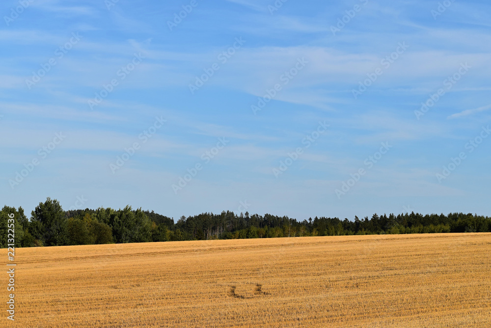 Rural landscape with agricultural fields. The field is harvested. Landscape at sunset.