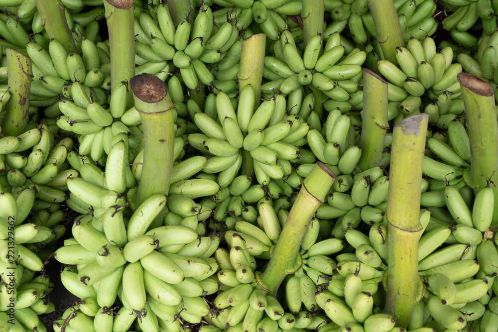 background of green lady finger banana background of green lady finger banana