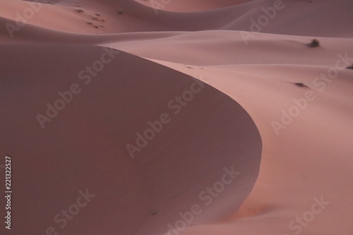 sahara desert,Merzouga