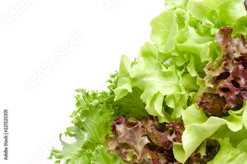 Lettuce - ingredient of sal...