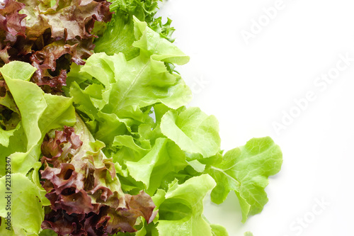 Lettuce - ingredient of sal...