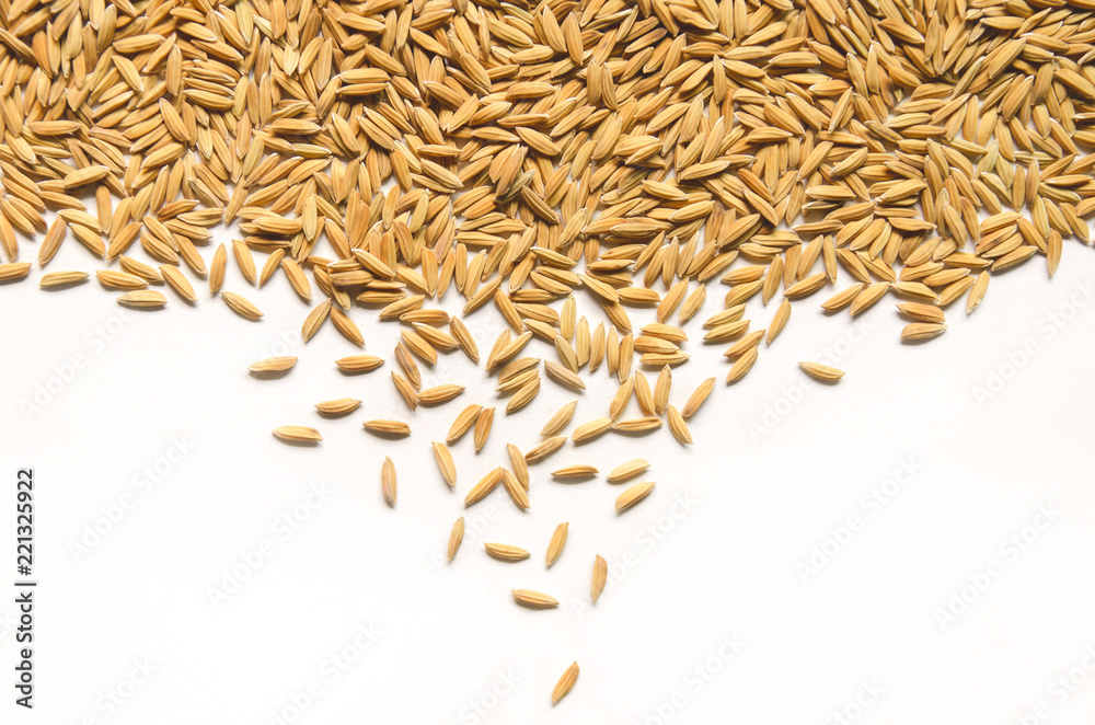 Background and wallpaper by pile of paddy rice and rice seed. Background and wallpaper by pile of paddy rice and rice seed.