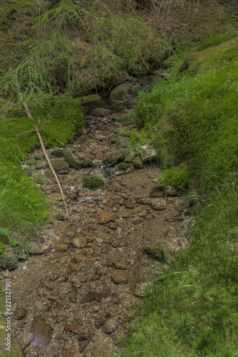 Small creek Slatinny in Krusne hory mountains photo