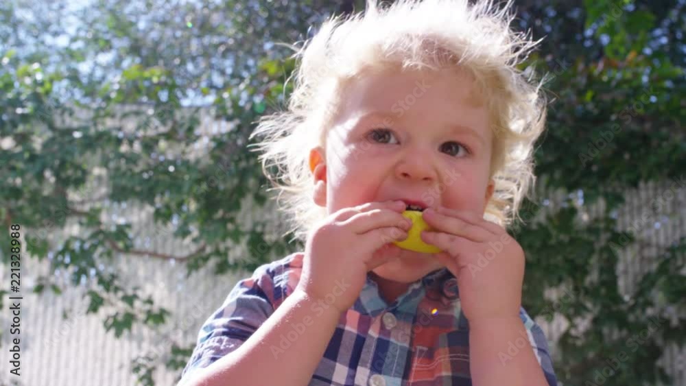Toddler stands and bites into a lemon slice as he walks away Toddler stands and bites into a lemon slice as he walks away