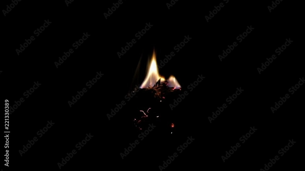 close up - red dried flower burns on a black background. accelerated footage. close up - red dried flower burns on a black background. accelerated footage.