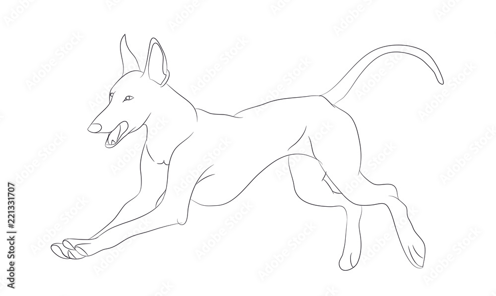 Obraz premium dog running, lines, vector