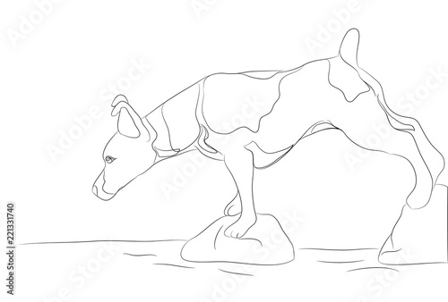 dog stands, lines, vector