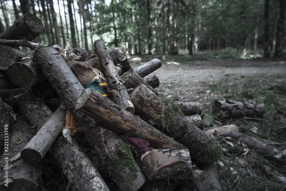 Shabby doll buried under logs in a dark forest Shabby doll buried under logs in a dark forest