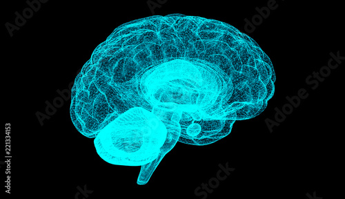 Digital 3D brain illustration, brain operation