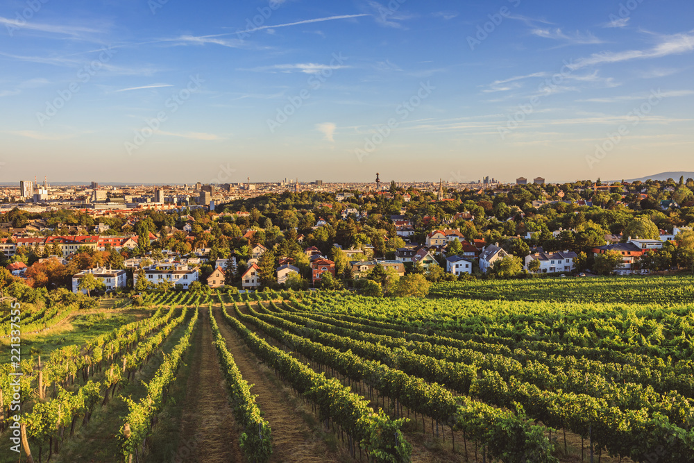 View from vineyards over Nussdorf in Vienna