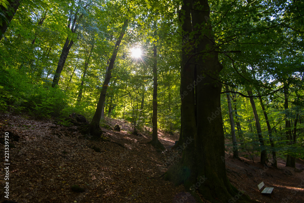Teutoburger Wald in Ostwestfalen