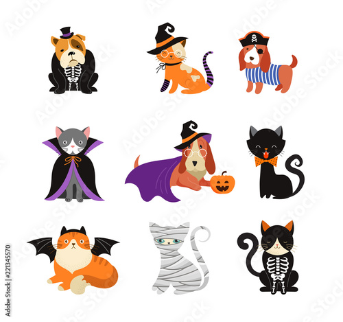Happy Halloween - cats and dogs in monsters costumes, Halloween party. Vector illustration, banner, elements set