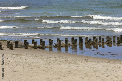 Those thick wooden poles protects Baltic Sea coast