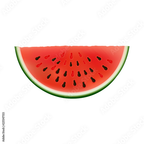 Slice of watermelon, summer fruit, vector icon