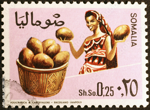 Woman and coconuts on postage stamp of Somalia photo