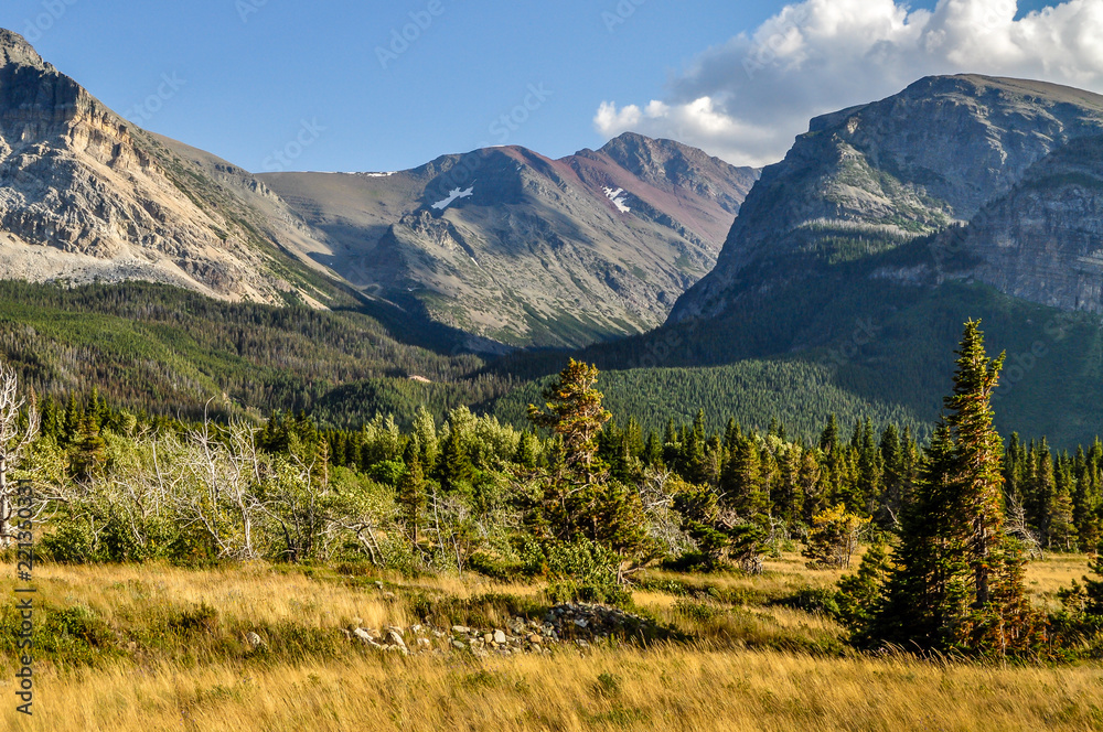 A Pine Forest Descends From Rugged Rocky Mountain Peaks in Montana's Glacier National Park
